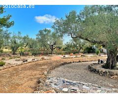 Chalet en Roquetes zona Roquetes