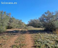 Finca rustica en Venta en Tortosa, Tarragona