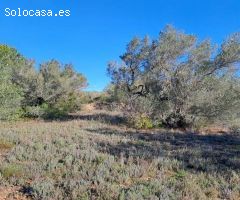Finca rustica en Venta en Tortosa, Tarragona