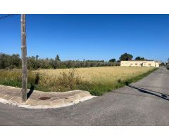 Solar en Venta en Deltebre, Tarragona