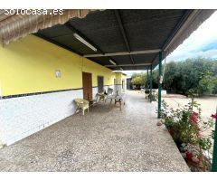 SE VENDE PARCELA CON FINCA RÚSTICA EN ELCHE ZONA BONAVISTA