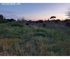 Parcela en Venta en Santes Creus, Tarragona