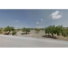 Terreno rural en Venta en Orihuela, Alicante