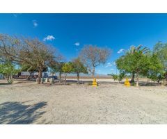 Finca rustica en Venta en Torre - Pacheco, Murcia