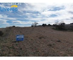 Terrenos Rústicos a la Venta: Oportunidades para Agricultura, Ganadería y Proyectos Naturales