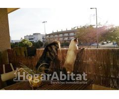 MUY AMPLIO Y LUMINOSO CON TERRAZA Y GARAJE
