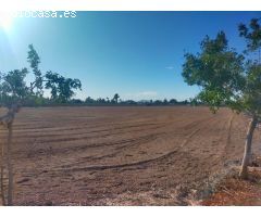 Residencial en venta en La Foia - Daimés - Asprella
