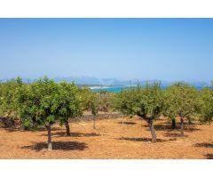 Chalet en Alquiler en Colonia de Sant Pere, Artà, Illes Balears