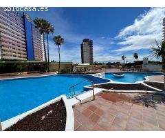 VIVE EN EL PARAISO: ENCANTADOR APARTAMENTO EN PLAYA PARAISO