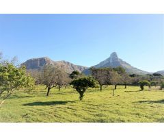 Finca rústica situada entre la Colonia de Sant Pere y S´Estanyol