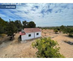 Chalet con 18.367m2 de parcela situado en zona Portillo Roque de Cheste