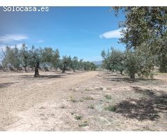 TERRENO AGRICOLA EN ARBOÇ