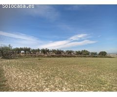 TERRENO AGRICOLA EN ARBOÇ