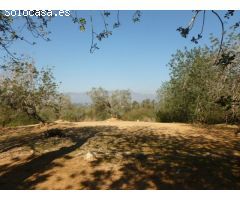 Finca en Venta en Masdenverge, Tarragona