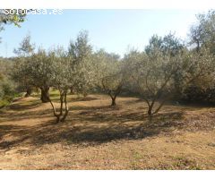 Finca en Venta en Masdenverge, Tarragona