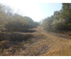 Finca en Venta en Masdenverge, Tarragona