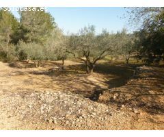 Finca en Venta en Masdenverge, Tarragona