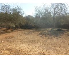 Finca en Venta en Masdenverge, Tarragona