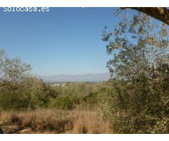 Finca en Venta en Masdenverge, Tarragona