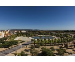 LOCAL COMERCIAL EN AMPOSTA