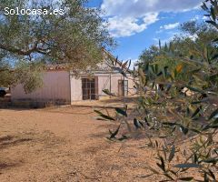 Finca rustica en Venta en L Aldea, Tarragona