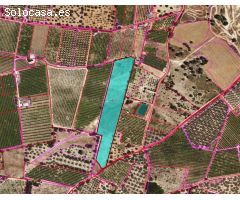 TERRENO RUSTICO EN VENTA