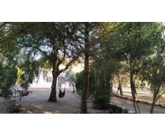 Paradisíaca Finca Rústica con Vivienda en Hellín