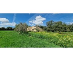 FINCA RÚSTICA EN VENTA EN MANACOR