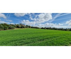 FINCA RÚSTICA EN VENTA EN MANACOR