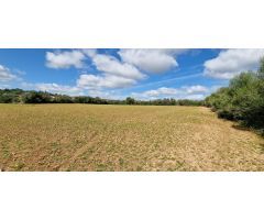 Solar en Venta en Manacor, Islas Baleares