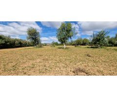 Solar en Venta en Manacor, Islas Baleares