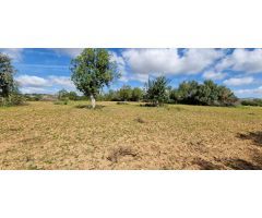 Solar en Venta en Manacor, Islas Baleares