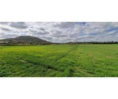 SOLAR EN VENTA EN MANACOR