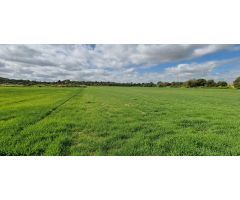SOLAR EN VENTA EN MANACOR