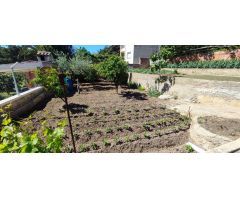 TERRENO PLANO EN BARONIA DE MAR (BELLVEI)