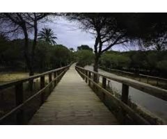 Chalet en Venta en Elche pedanias, Alicante
