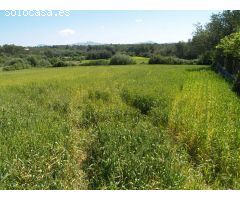 Terreno rural para construir en Santa Margalida, Mallorca