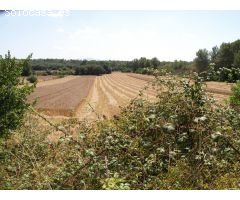 Terreno rural para construir en Santa Margalida, Mallorca