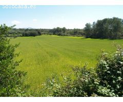 Terreno rural para construir en Santa Margalida, Mallorca