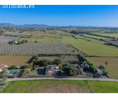 Finca rústica con licencia vacacional en Manacor.