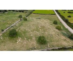 Parcela rústica edificable de 14.000 m² en Son Servera ( Mallorca)