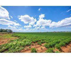 Finca tradicional con potencial agrícola y energético en el entorno rural de Sa Casa Blanca