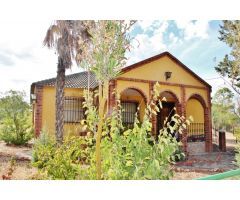 Finca rustica en Venta en Villafranca de los Caballeros, Toledo