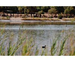 Finca rustica en Venta en Villafranca de los Caballeros, Toledo