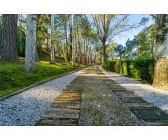 Finca rustica en Venta en Apeadero de Los Molinos-Guadarrama, Madrid