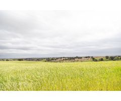 Terreno rural en Venta en Méntrida, Toledo