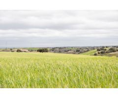 Terreno rural en Venta en Méntrida, Toledo