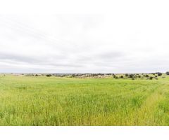 TERRENO PARA VENDER AGRARIO 34000 METROS CUADRADOS