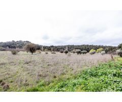 TERRENO PARA VENDER AGRARIO 34000 METROS CUADRADOS