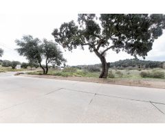 TERRENO PARA VENDER AGRARIO 34000 METROS CUADRADOS